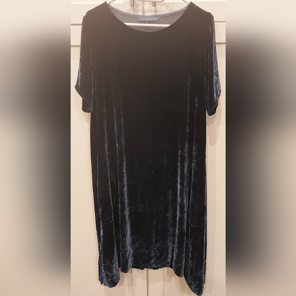 Cut Loose Elegant Velvet Dress - Picture 1 of 7